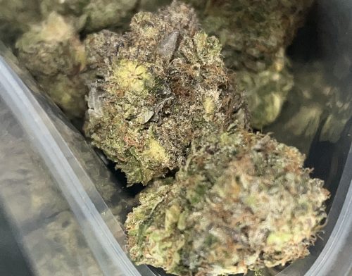Platinum Bubba Kush photo review