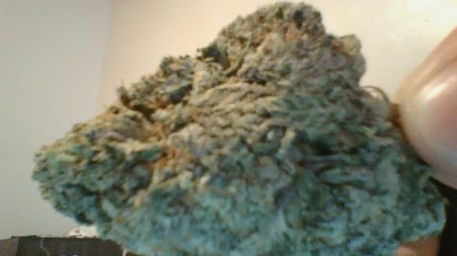 Skunk #1 photo review