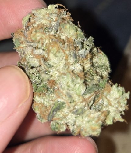 Click to view full screen Northern Lights photo review