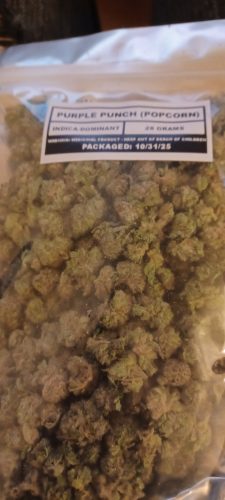 Click to view full screen Purple Punch (Popcorn) photo review