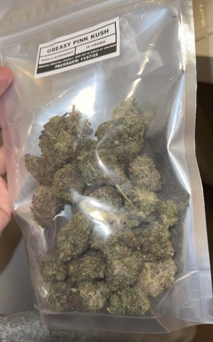 Greasy Pink Kush photo review