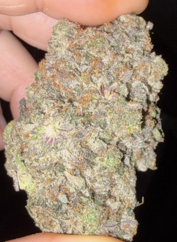 Coastal Pink Kush by Pluto Craft Cannabis photo review