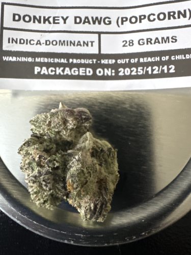 Donkey Dawg (Popcorn) photo review