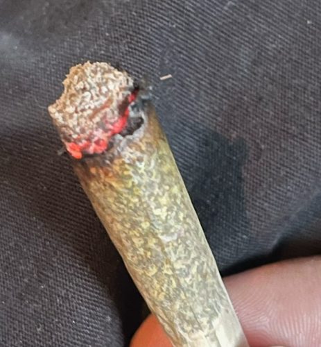 Pink Venom (Popcorn) photo review