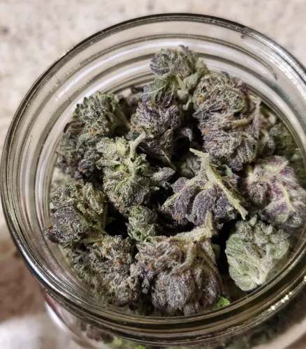 Click to view full screen Platinum Pink (Popcorn) photo review