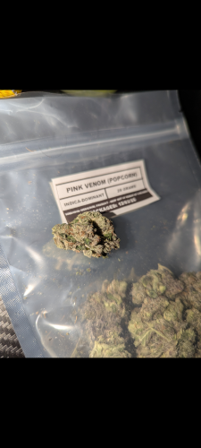 Pink Venom (Popcorn) photo review