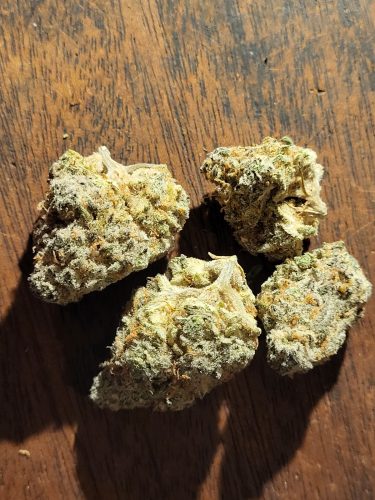 Red Congolese (Smalls) photo review