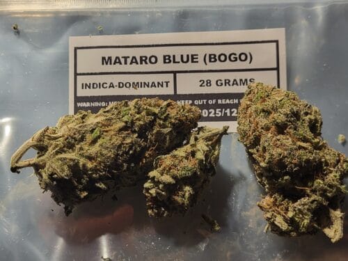Mataro Blue (BOGO) photo review