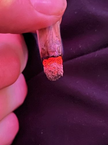 Chemdawg (Popcorn) photo review