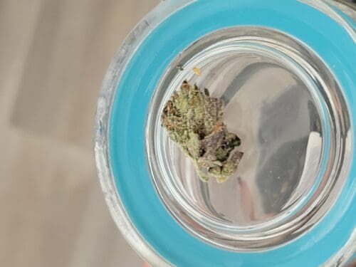 Pink Caviar photo review