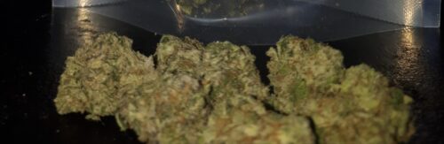 Headband (Popcorn) photo review