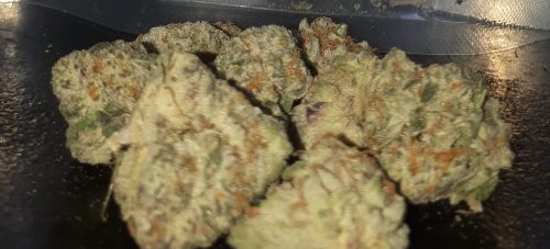 White Walker (Popcorn) photo review