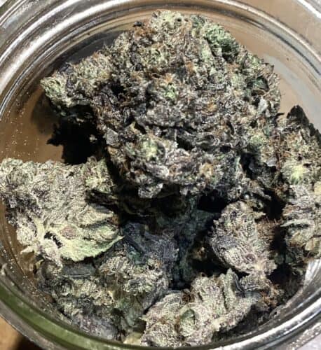 Fatso by Pluto Craft Cannabis photo review