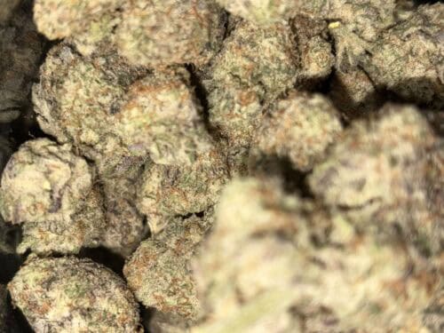 Miracle Alien Cookies #10 photo review
