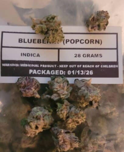 Blueberry (Popcorn) photo review