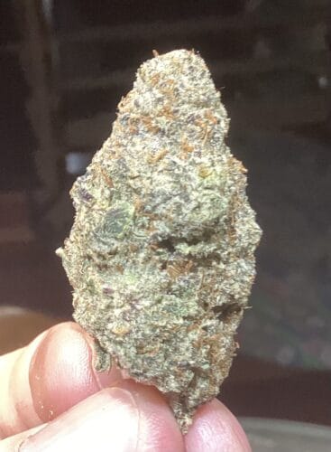 Rotten Rozay (LSO) photo review