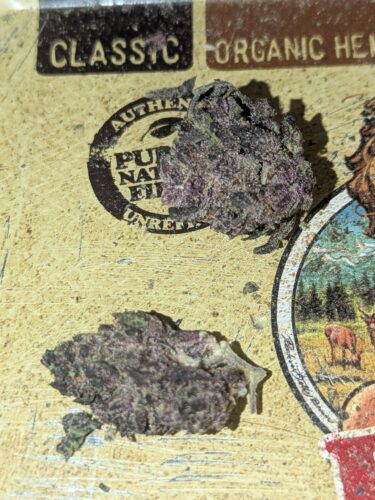 Lemon Cherry Gelato photo review