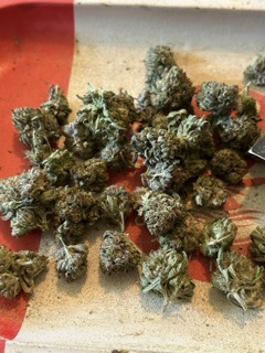 Purple Kush (Popcorn) photo review