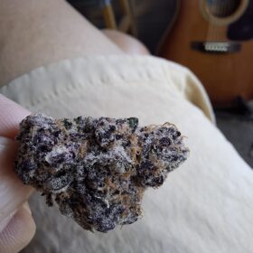 Cherry Popperz by Barney's Farm (Smalls) photo review
