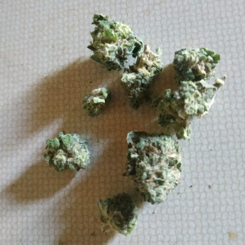 Blue Maui (Popcorn) photo review